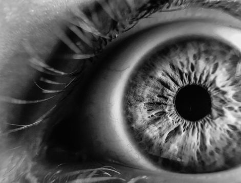 types of contact lents